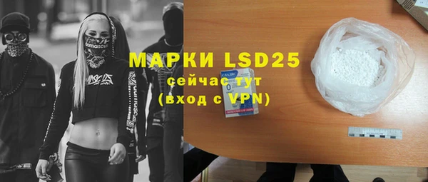 мяу мяу кристалл Корсаков