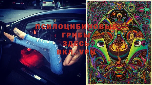 крисы Коряжма