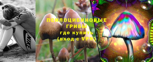 МДПВ Козельск