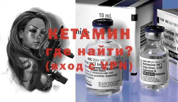 крисы Коряжма