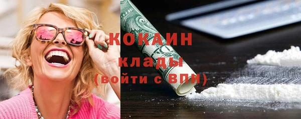 крисы Коряжма