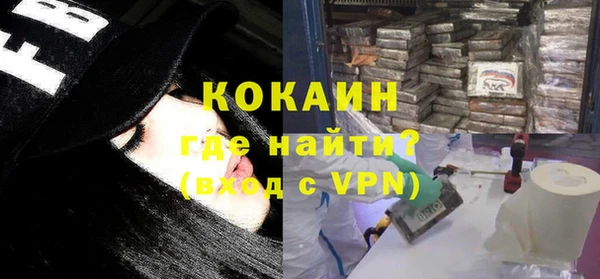 крисы Коряжма