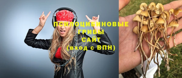 крисы Коряжма
