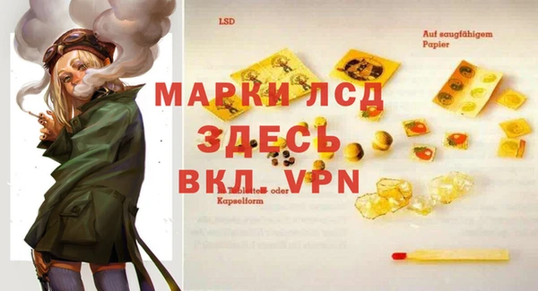 spice Краснослободск