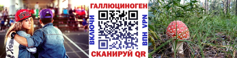 нарко площадка телеграм  Котельнич  Псилоцибиновые грибы Psilocybine cubensis 